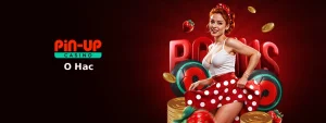 about-us-pin-up-casino